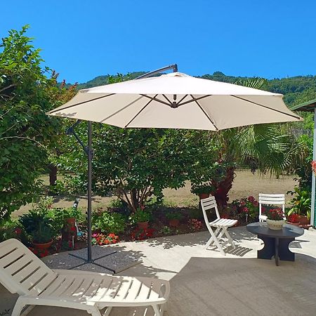 Villa Sunny House Carasco Esterno foto