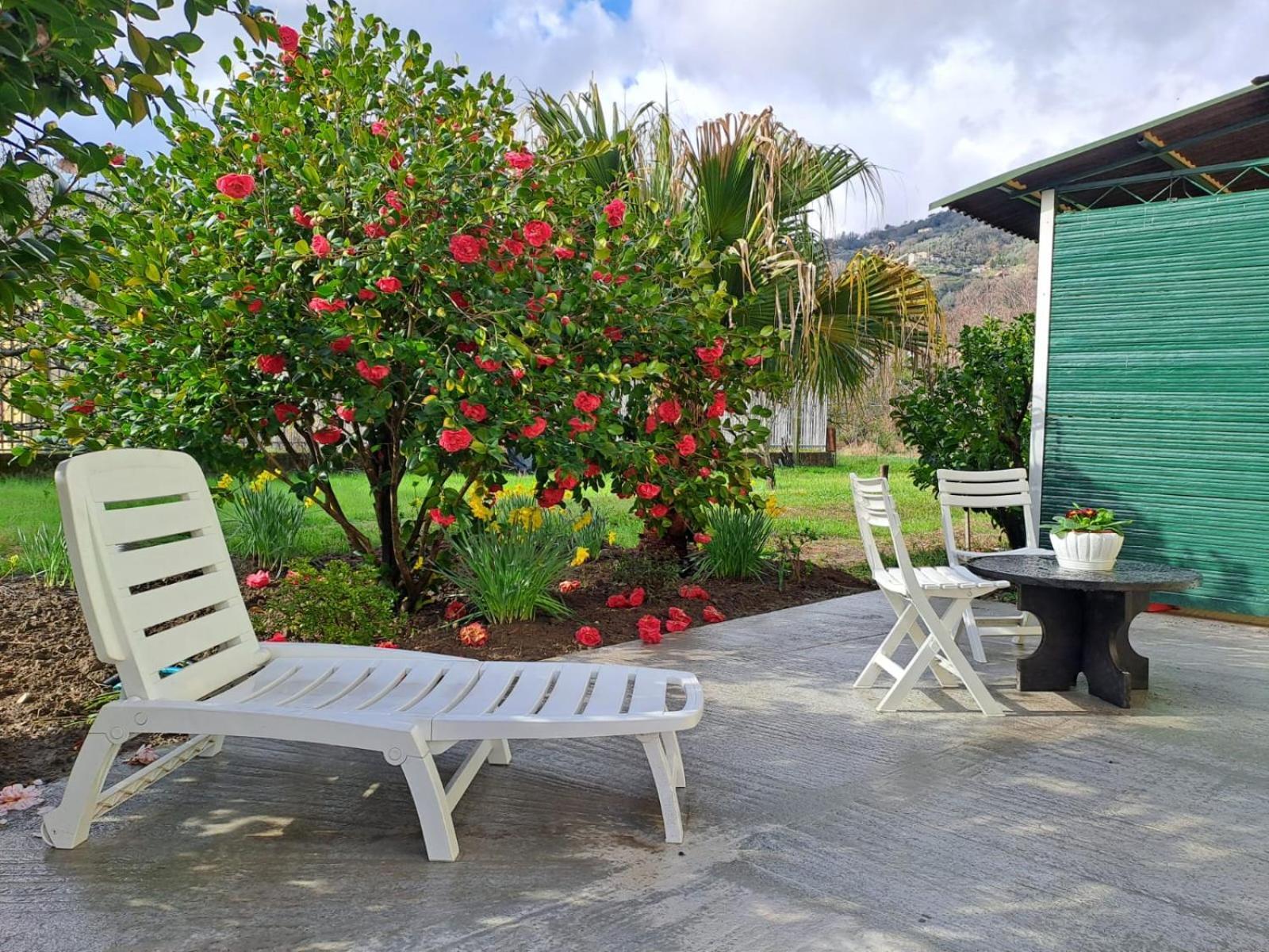 Villa Sunny House Carasco Esterno foto