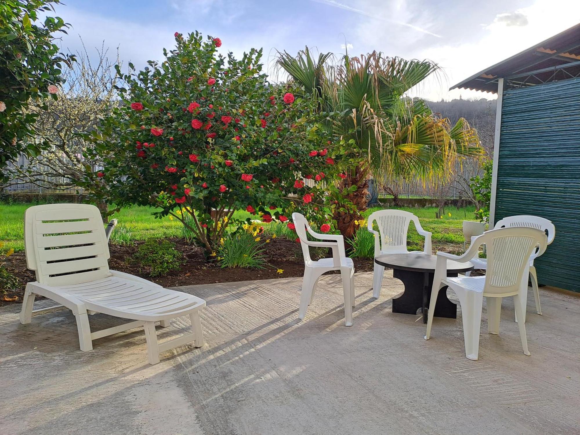 Villa Sunny House Carasco Esterno foto