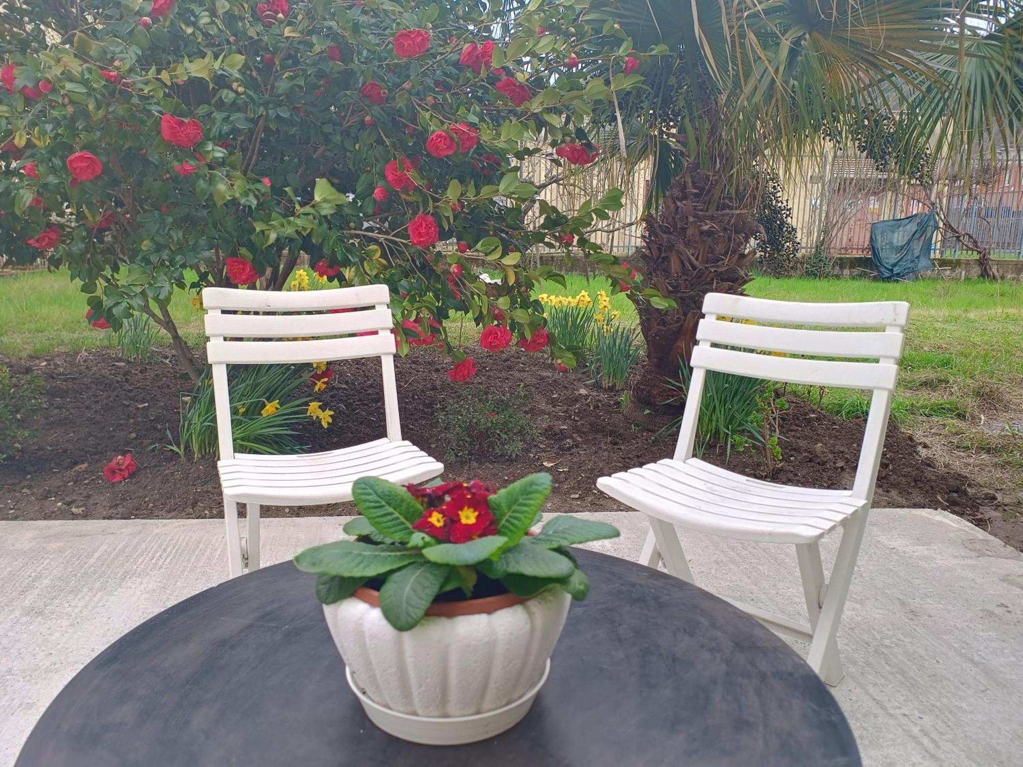 Villa Sunny House Carasco Esterno foto