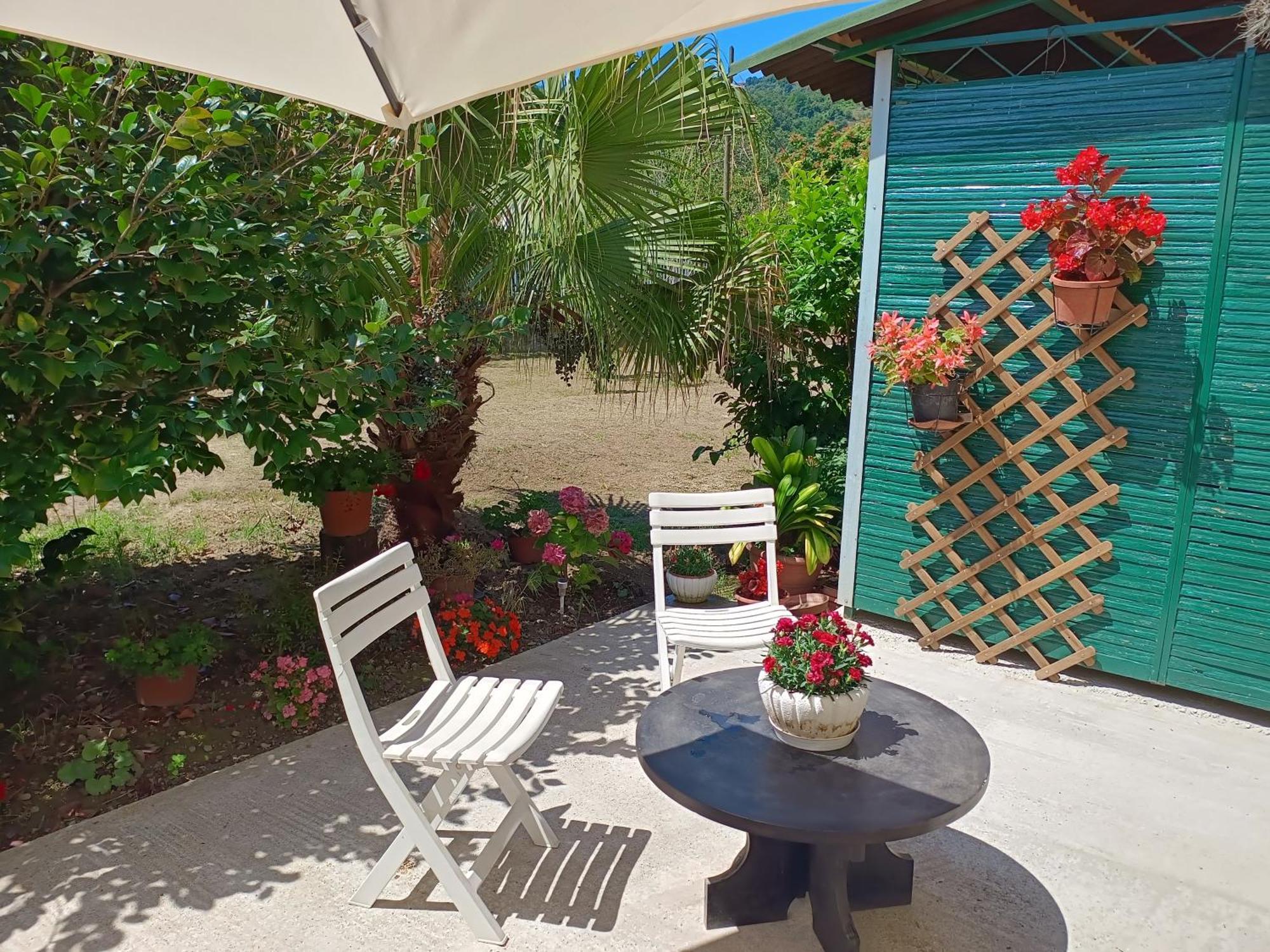 Villa Sunny House Carasco Esterno foto